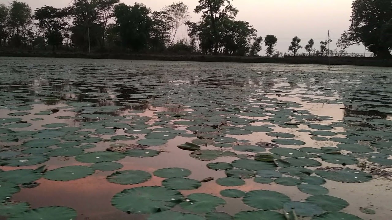 बुद्धमङ्गल तालबीचमा बुद्धमूर्ति : बौद्धकालीन सभ्यता र पर्यटकीय आकर्षण